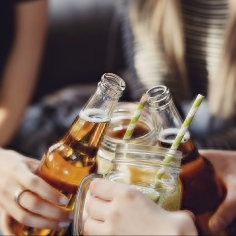 Tapak Dara: Rahasia Alam untuk Kesehatan Optimal dan Penyembuhan Penyakit