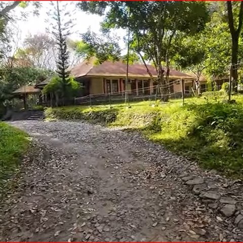 Perkebunan Bunisari