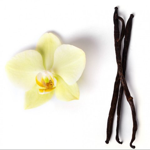 Vanilla