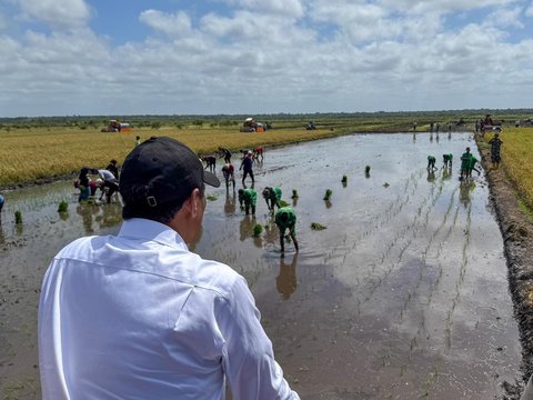 Mentan Amran Minta Kelembagaan Petani Millenial Diperkuat di Merauke