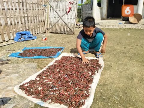 Ilustrasi jamu lezat dan sehat penurun kolesterol serta asam urat/copyright freepik.com/azerbaijan-stockers