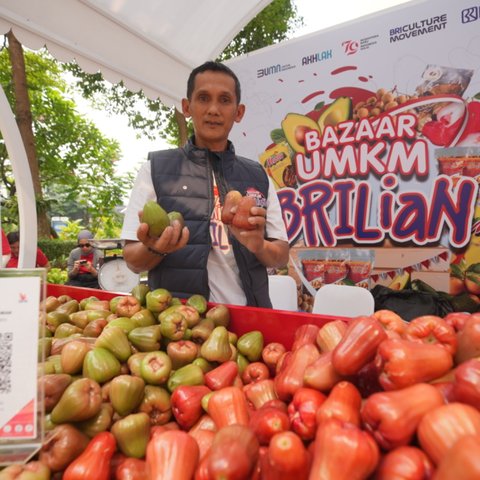 Kisah Pengusaha Jambu Citra di Kudus, Sukses Kembangkan Usaha Berkat Pemberdayaan BRI