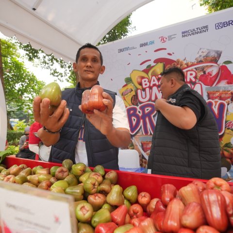 Kisah Pengusaha Jambu Citra di Kudus, Sukses Kembangkan Usaha Berkat Pemberdayaan BRI