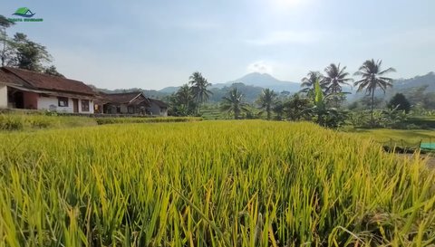 Kampung Ciereng Sumedang