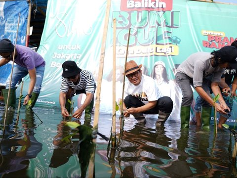 FOTO: Gaya Pramono Tanam Mangrove Bareng Slank di Pesisir Jakarta