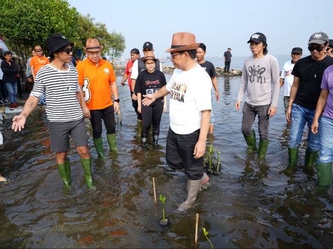 FOTO: Gaya Pramono Tanam Mangrove Bareng Slank di Pesisir Jakarta