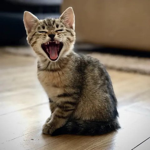 Ilustrasi/Copyright unsplash/Yerlin Matu