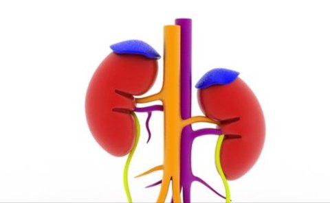 Diagnosis dan Penanganan Penyakit Addison