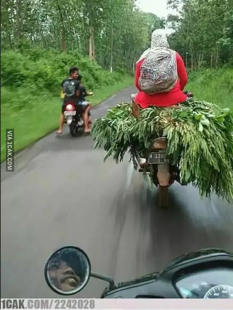 Potret Tempat Duduk Nyeleneh di Motor. (Sumber: X/@komedisantuy dan 1cak.com)