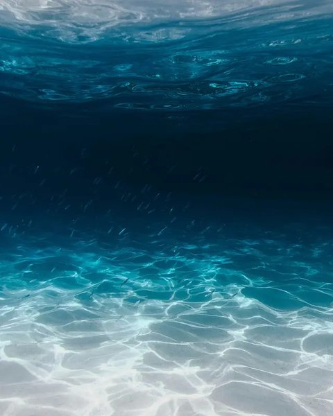 Ilustrasi laut. (dok. NOOA/Unsplash.com)