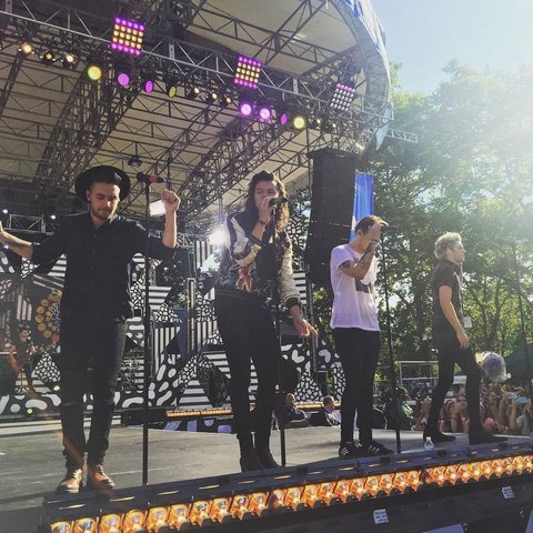 Directioners, sebutan untuk penggemar One Direction, dikenal sangat loyal dan solid. Mereka selalu mendukung idola mereka dalam segala hal.