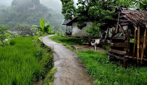 Jalanan meliuk yang membelah persawahan di Peundeuy, Garut