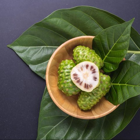 Cara Mengonsumsi Mengkudu/copyright shutterstock