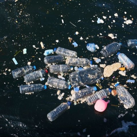 Penting untuk melakukan tindakan yang tepat agar permasalahan tumpukan sampah kronis ini tidak berlarut-larut terjadi.