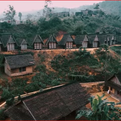 Padi Ciptagelar berusia ratusan tahun