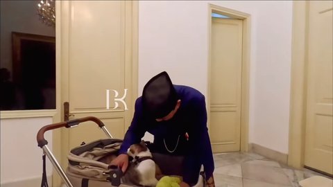 10 Foto Bobby Kertanegara, Kucing Presiden Prabowo Subianto, yang Diistimewakan dengan Stroller dan Kamar Pribadi di Istana