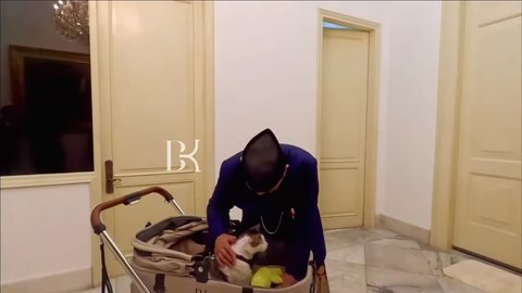 10 Foto Bobby Kertanegara, Kucing Presiden Prabowo Subianto, yang Diistimewakan dengan Stroller dan Kamar Pribadi di Istana