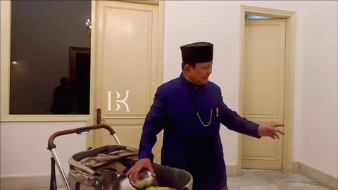 10 Foto Bobby Kertanegara, Kucing Presiden Prabowo Subianto, yang Diistimewakan dengan Stroller dan Kamar Pribadi di Istana