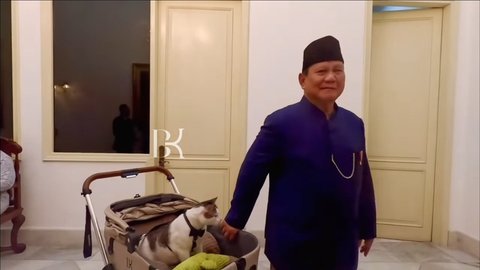 10 Foto Bobby Kertanegara, Kucing Presiden Prabowo Subianto, yang Diistimewakan dengan Stroller dan Kamar Pribadi di Istana