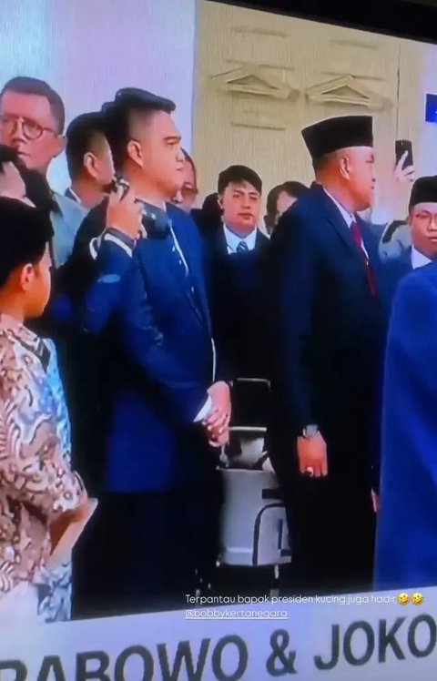 Bobby Kucing Prabowo di Pelantikan Presiden RI ke-8 (Sumber: Instagram/bobbykertanegara)
