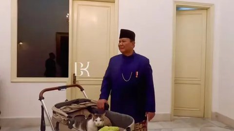 Bobby Kucing Prabowo di Pelantikan Presiden RI ke-8 (Sumber: Instagram/bobbykertanegara)