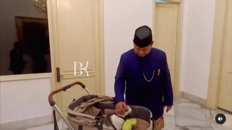 Naik Pangkat Kucing Bobby Kesayangan Presiden Prabowo