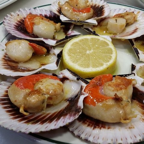 kerang simping