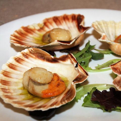 kerang simping