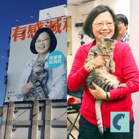 Kucing Presiden Prabowo Subianto, Bobby Kertanegara, bersama sang Presiden di Istana Merdeka pada Minggu, 20 Oktober 2024. (Instagram/bobbykertanegara)