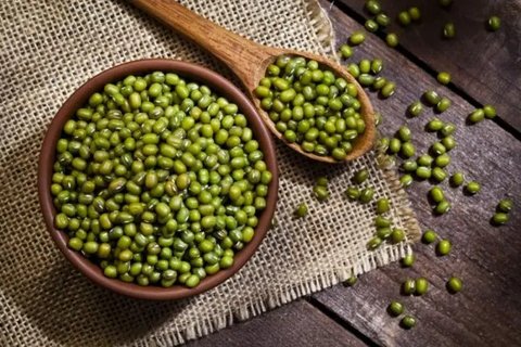 Ilustrasi Bubur Kacang Hijau Credit: freepik.com