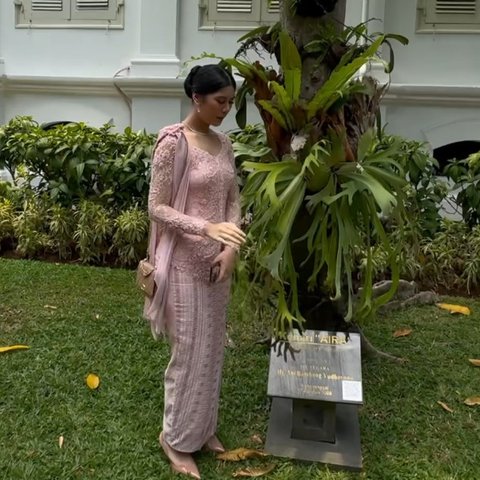 Bu Ani memberikan nama Kenari Aira untuk pohon yang ia tanam di halaman Istana Negara itu. Pohon itu ditanam pada tahun 2008 silam, ketika SBY masih menjadi Presiden RI.