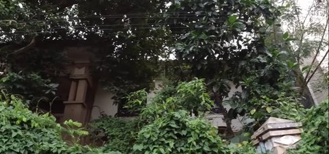 Kini Sudah Rapi dan Bersih, Begini Kondisi Terbaru Rumah Tiko yang Pernah Viral di Medsos