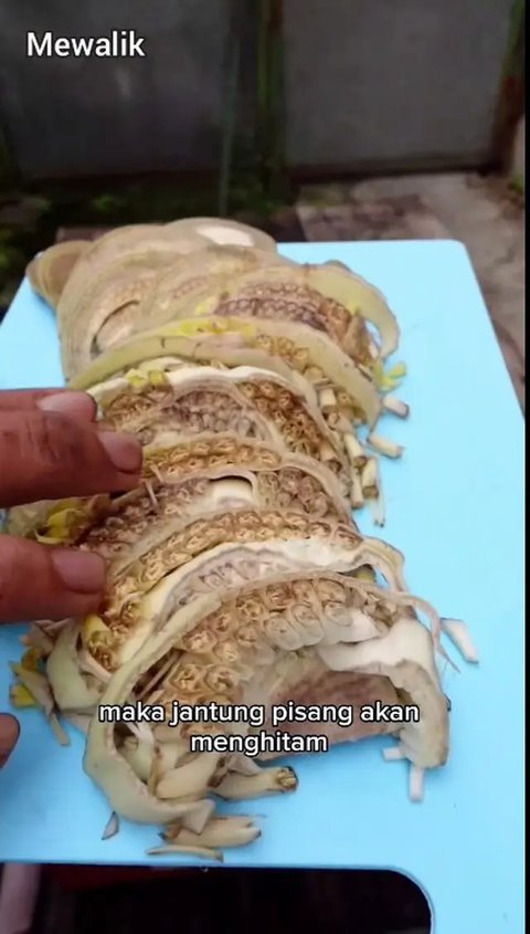 Ilustrasi jantung pisang. (Pixabay)