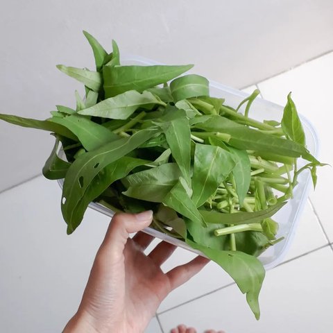 Cara Sederhana Masak Kangkung Agar Tetap Berwarna Hijau Segar dan Tidak Hitam