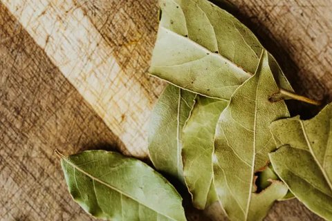 Ilustrasi Daun Salam/https://unsplash.com/Monika Grabkows