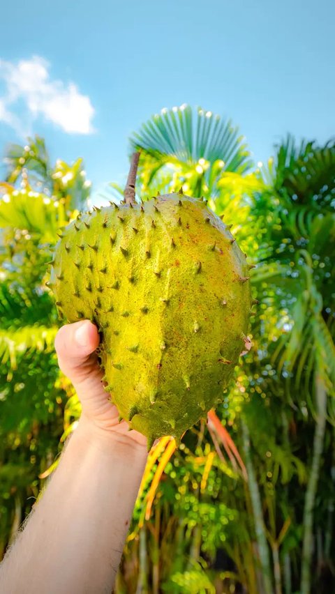 Manfaat Buah Sirsak (sumber: iStock)