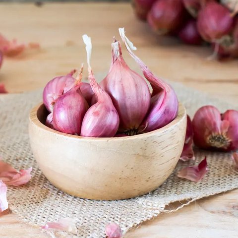 Ilustrasi bawang merah