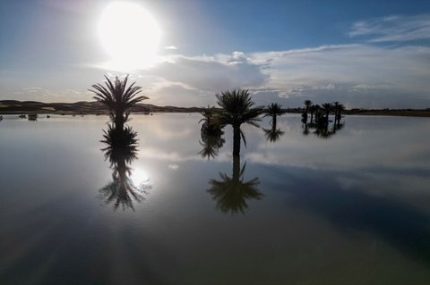 FOTO: Penampakan Gurun Sahara Dilanda Banjir Langka, Padang Pasir Tandus Berubah Jadi Danau