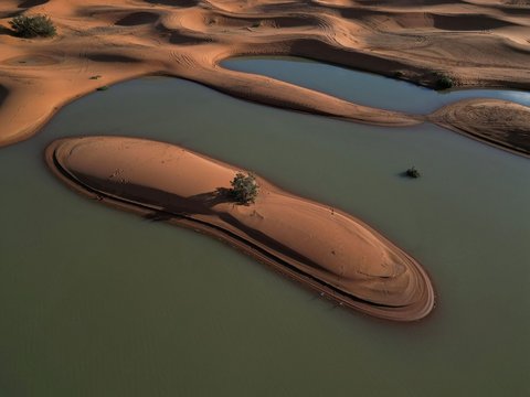 FOTO: Penampakan Gurun Sahara Dilanda Banjir Langka, Padang Pasir Tandus Berubah Jadi Danau