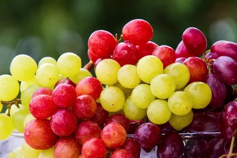 Credit: mapo_japan/depositphotos.com