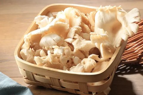 Jamur tiram mentah. (c) Shutterstock/Pravruti