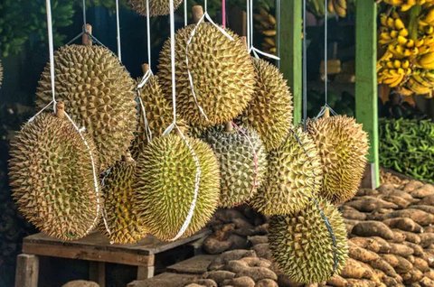 Buah durian terlihat di kafe Mao Shan Wang di Singapura (26/1). Restoran yang menyediakan beragam aneka rasa durian ini telah menarik banyak pengunjung untuk datang mencicipi buah durian d