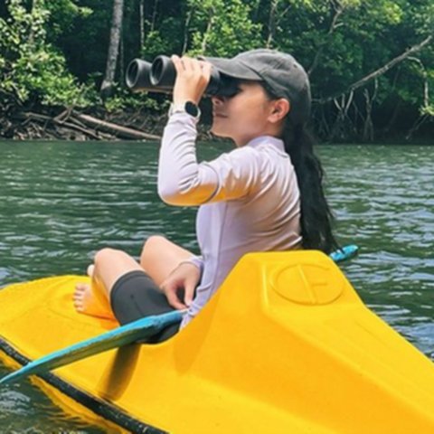 Potret Prilly Latuconsina ke Kaimana di Papua Barat, Jelajahi Salah Satu Hutan Mangrove Terbesar di Dunia