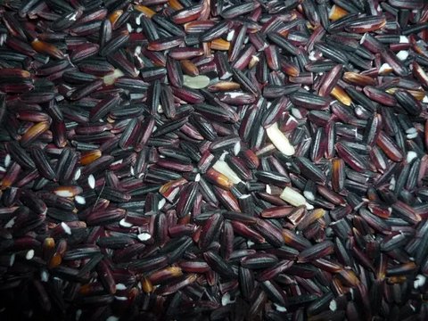 Manfaat ketan hitam (sumber: freepik)