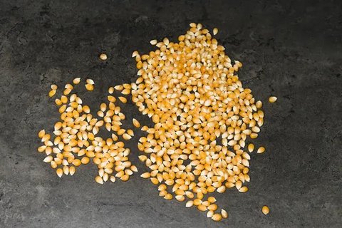 Variasi terbaru untuk para penikmat popcorn berbagai rasa.