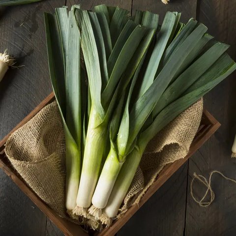 Ilustrasi daun bawang/credit: pexels.com/Larissa