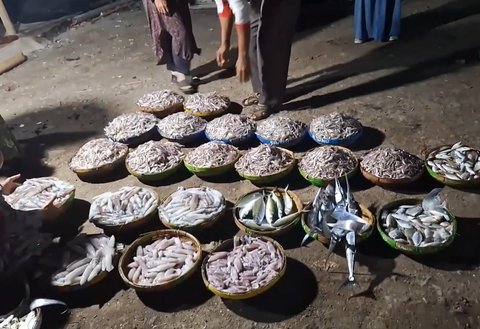 Kehidupan masyarakat pesisir Bojonegara, Serang