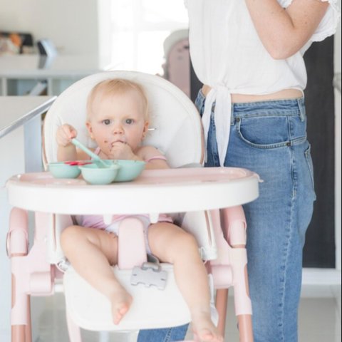 penyesuaian diet pada bayi dan ibu menyusui