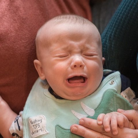 bayi