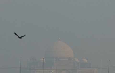 FOTO: Terburuk di Dunia, Begini Penampakan Polusi Parah yang Cekik Warga New Delhi India